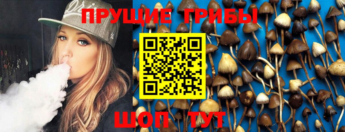 Галлюциногенные грибы Magic Shrooms  Вход с VPN  Галлюциногенные грибы MAGIC MUSHROOMS  Донецк 