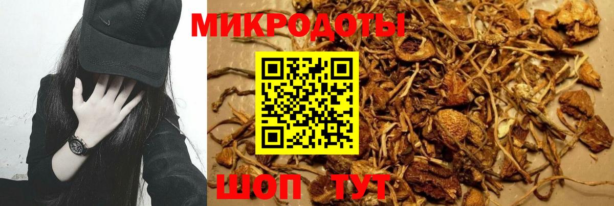 Галлюциногенные грибы мицелий Донецк